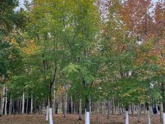 -长春世界雕塑园冰雪艺术天地