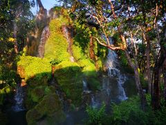 -Chom Cafe and Restaurant