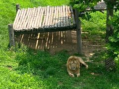 -西霞口神雕山野生动物世界