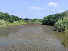 -白鹭湾湿地公园