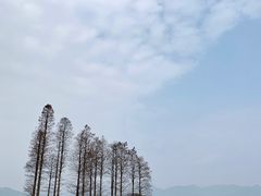 -四明湖