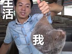 -EGO原创机械密室逃脱(朝阳大悦城2店)