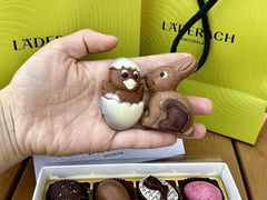 -Laderach 莱德拉(上海环贸iapm店)