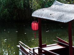 -合肥滨湖国家森林公园