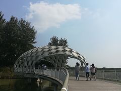 -同里国家湿地公园