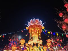 -淄博花灯齐彩城
