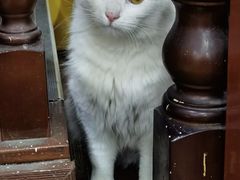 -鑫明明拉面(宁化路店)