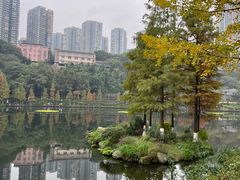 -重庆彩云湖湿地公园