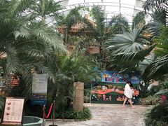 -国信南山温泉