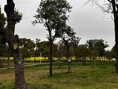 -大宁公园