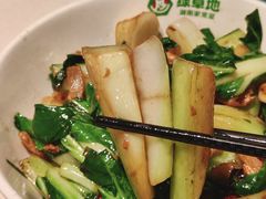 -绿草地·湘菜(7mall店)