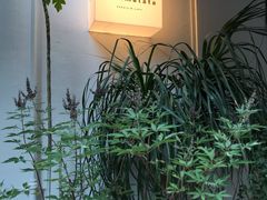 -Kekimatata 生日蛋糕·烘焙教学