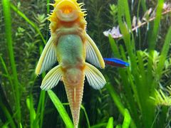 -上海海洋水族馆