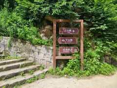 -大岭沟猕猴桃谷风景区