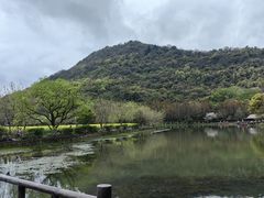 -八卦田遗址公园
