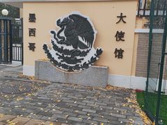 -三里屯东五街银杏大道