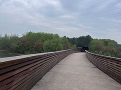 -昆山城市生态森林公园