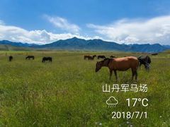 -山丹皇家马场