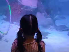 -沈阳海洋探索中心