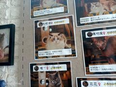 -平行世界·猫咖(首经贸店)