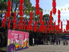 -上海海湾国家森林公园