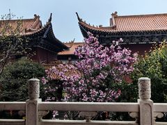 -皇罗禅寺