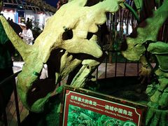-诸城市恐龙博物馆