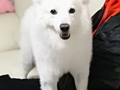 -美联众合动物医院·24h京西诊疗中心