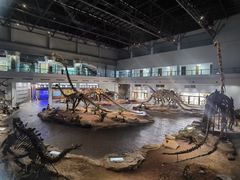 -自贡恐龙博物馆