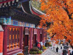 -香山公园