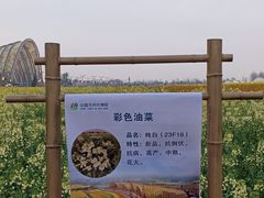 -中国天府农业博览园