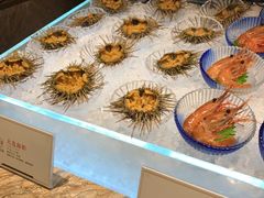 -半岛翡丽海鲜自助餐厅(观风亭店)