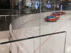 -TheRink大零溜冰场(IFS国金中心店)