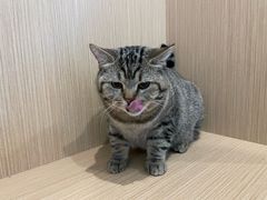 -美迦爱-牙专科·兔科·骨科诊疗中心(北苑店)