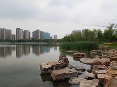 -南翔镇银翔湖公园