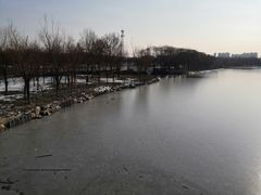 -大兴滨河森林公园