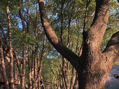 -白马涧龙池景区