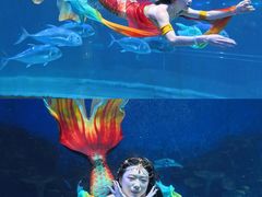 -华夏文旅海洋公园