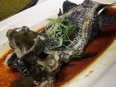 -宝燕壹号(徐汇店)