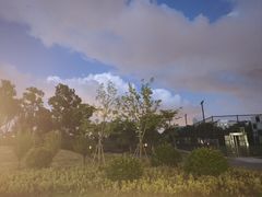 -大塘金香草谷