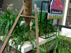 -黎客国际酒店
