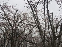-龙美术馆(西岸馆)
