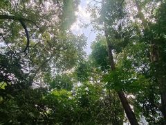 -树厨贵州菜(铜仁花果山店)
