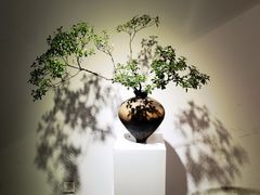 -苏州本色美术馆