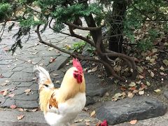 -热田神宫