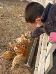 -前小桔亲子创意农场·草莓采摘·露营烧烤