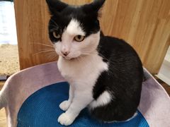 -猫的天空之城概念书店(杭州南宋御街店)