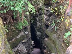 -梭布垭石林景区