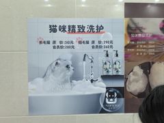 -北京观赏动物医院·24小时大型综合·猫专科·异宠专科