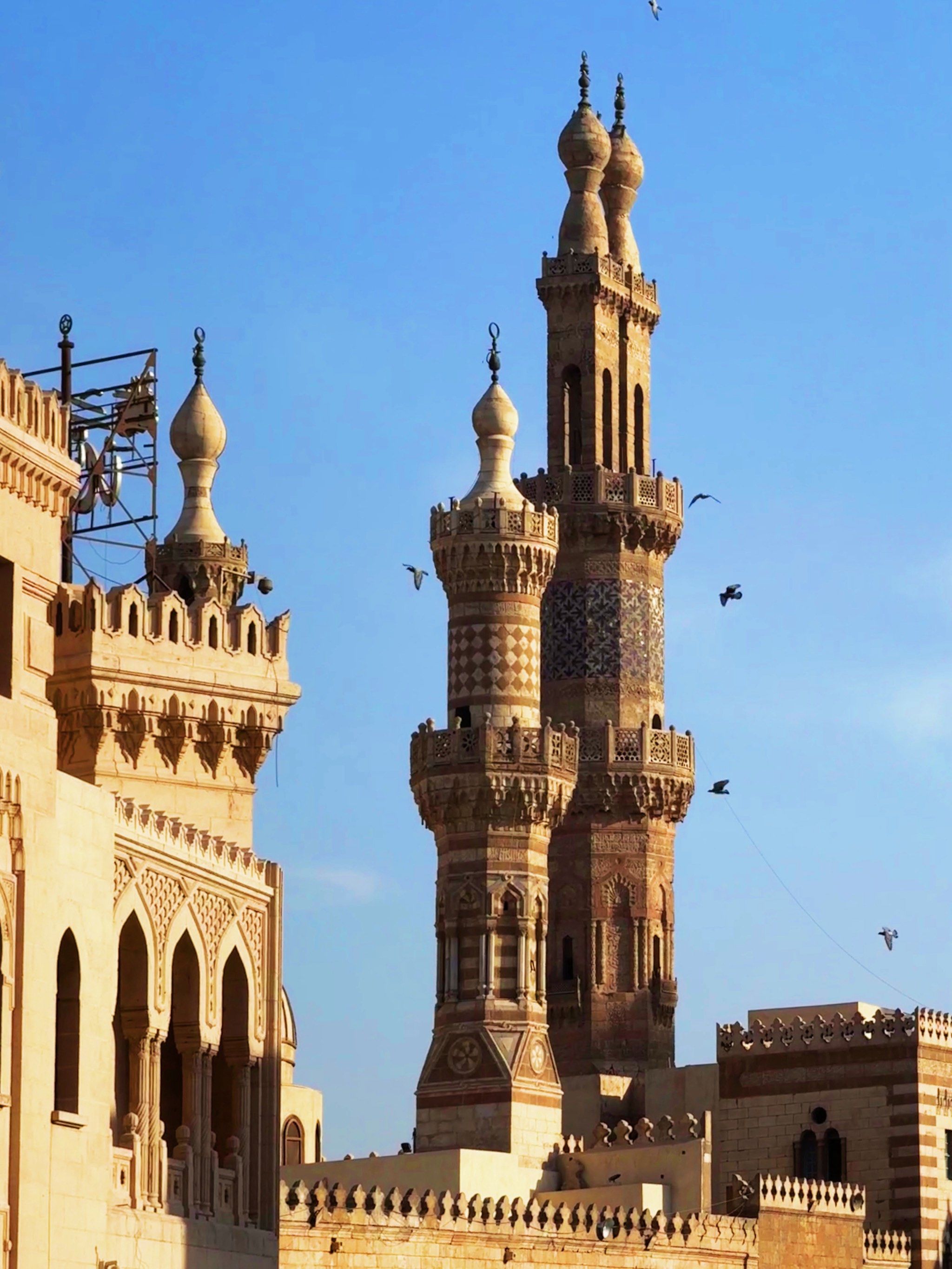 核心阵地就是艾资哈尔大学和清真寺